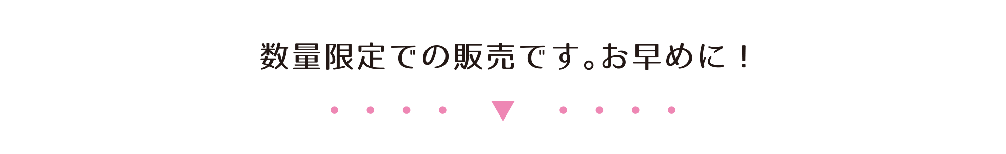 数量限定での販売です。お早めに!